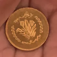 سکه طلا یادبود بنیاد شهید