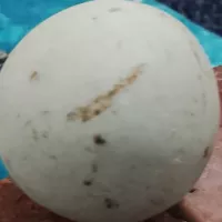 سنگ آسیاب با سختی 9
