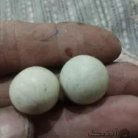 دو عدد سنگ آسیاب قدیمی