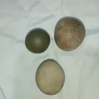سه عدد سنگ آسیاب